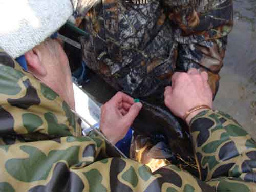 Tagging Technique